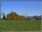 foto Paesaggi Autunnali tra le colline Fontesi